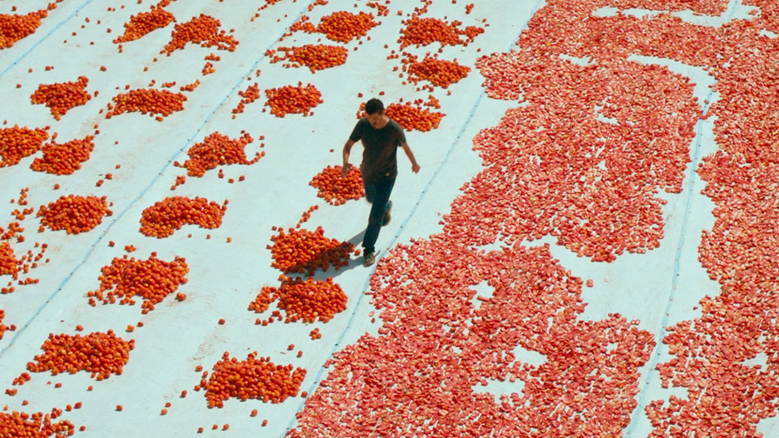 One of Those Days When Hemme Dies