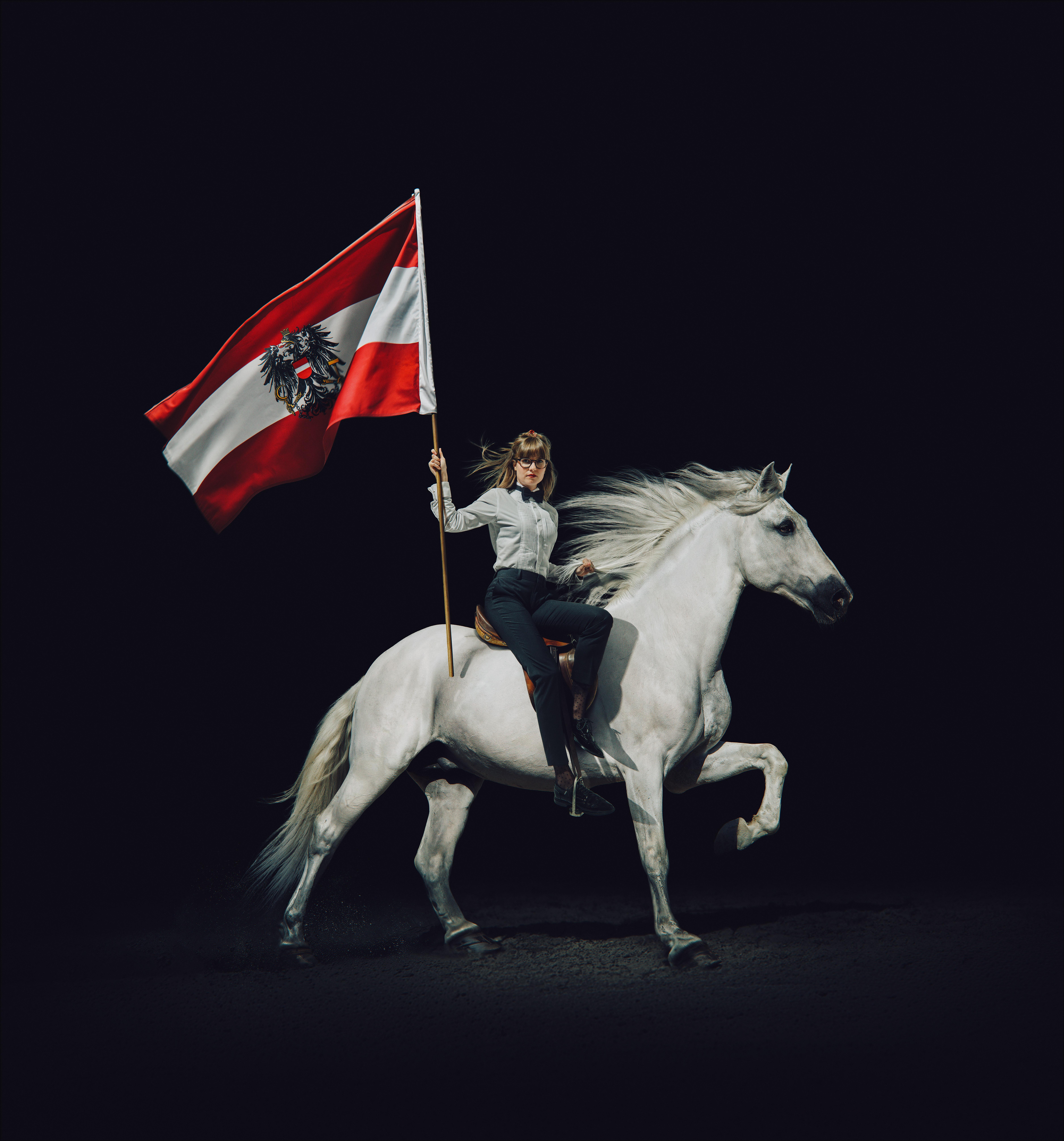 Noch lange keine Lipizzaner - Eintritt frei