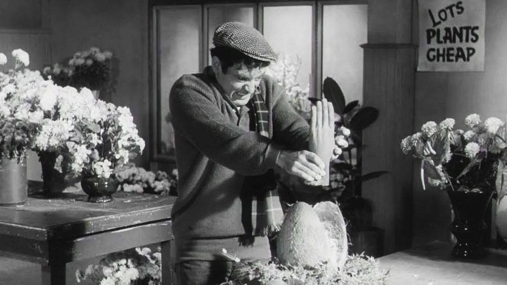Little Shop of Horrors - analog